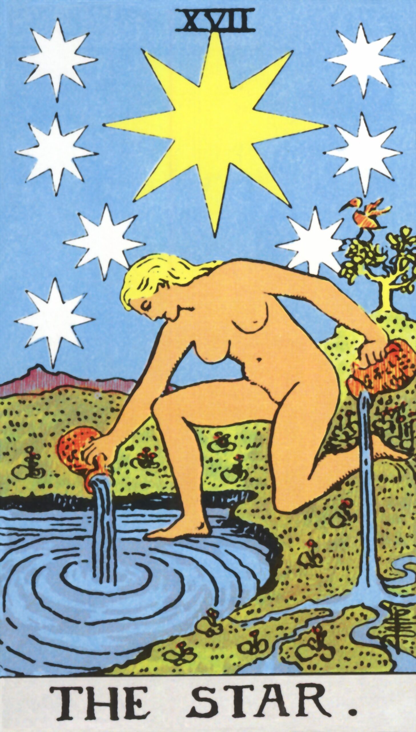 The Star